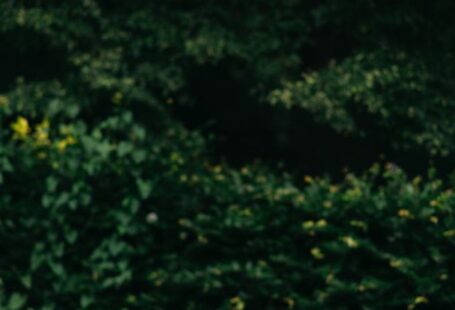Study Environment - Faceless female wearing knitted sweater hiding behind book while standing in park with green foliage